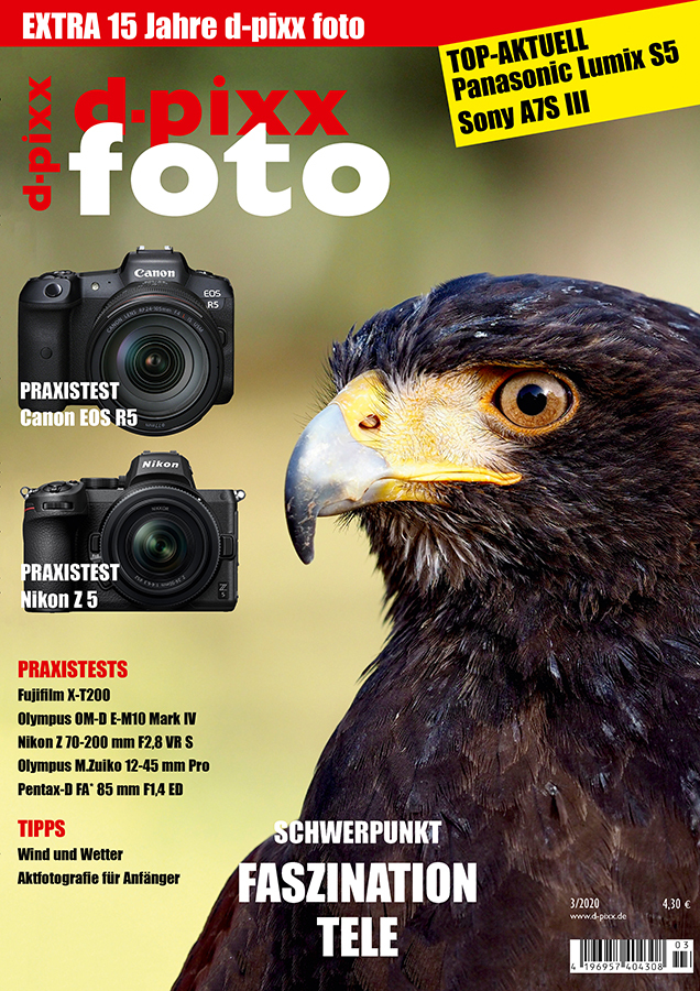 dp_2003_titel_900px_HOCH