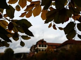 herbst_blaetterrahmen