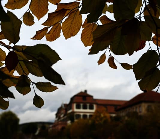 herbst_blaetterrahmen