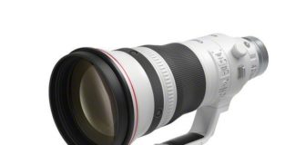 Canon RF 400mm F2.8 L IS USM