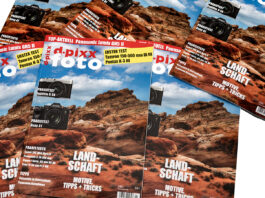 dp_2_21_in_der_redaktion