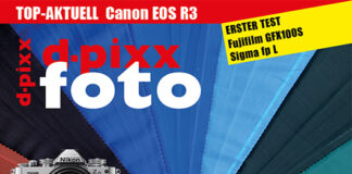 dp_21_3_cover_530x750