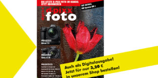 d-pixx 01/2022 Digitalausgabe