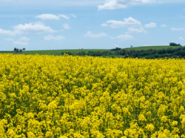 dp_22_2_abholen__beitrag_2