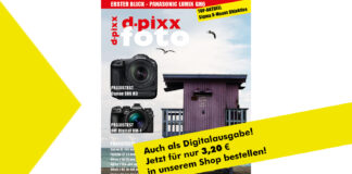 dp_22_2_digitalausgabe_banner