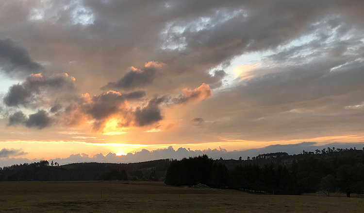 eva_altmann_der_himmel_ueber_tanne.jpg