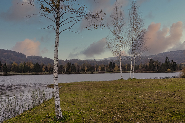 fotoanni_herbstspaziergang.jpg