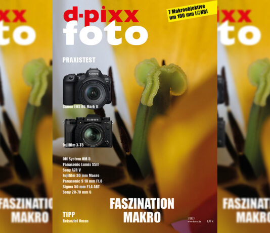 dp_23_1_im_shop