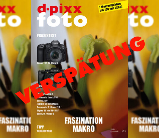 dp_23_1_titel_verspaetung