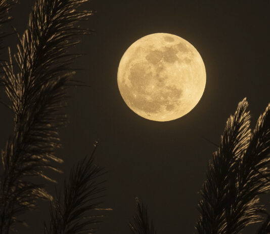 alexis-antonio-TFth26tEjss-unsplash