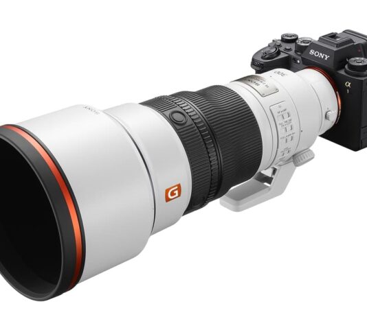 sony_ILCE-1_FE 300mm F2.8 GM OSS_lens_hood_right-1