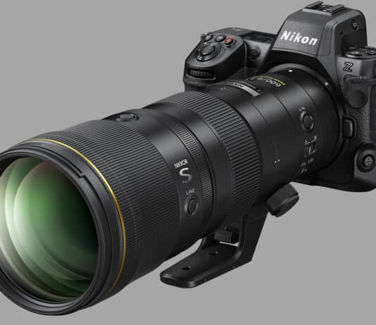 nikon_z600__beitrag