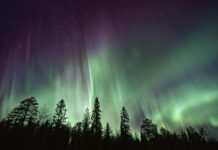 Tipps für Nordlichter (vielleicht heute Nacht wieder) nordlicht_vincent_guth_unsplash