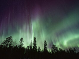 nordlicht_vincent_guth_unsplash