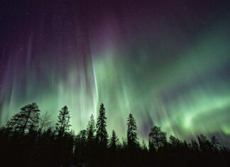 Tipps für Nordlichter (vielleicht heute Nacht wieder) nordlicht_vincent_guth_unsplash