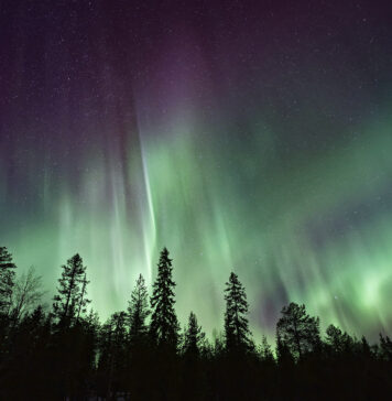 Tipps für Nordlichter (vielleicht heute Nacht wieder) nordlicht_vincent_guth_unsplash