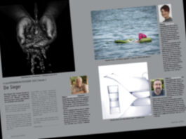 dpf_25_2_luk_beitrag