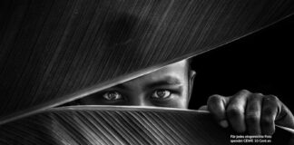 CEWE_Photo_Award_2025__Beitrag
