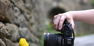 Nikon Nikkor MC DX 35mm f/1.7 – Mit DX-Kameras ganz nah ran