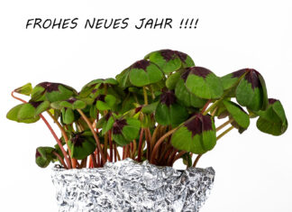 Das d-pixx-Team wünscht allen Leserinnen und Lesern nur das Beste für 2026!