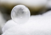 Gefrorene Schönheiten | Motivtipp