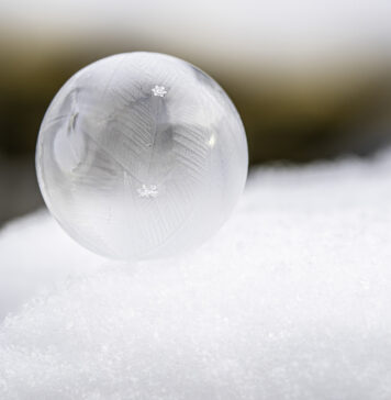 Gefrorene Schönheiten | Motivtipp