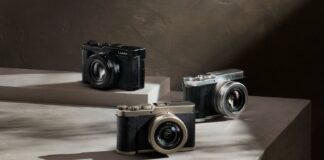 Lumix L10