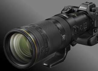 Nikon NIKKOR Z 120-300mm f/2.8 TC VR S | Sportzoom mit integriertem Telekonverter